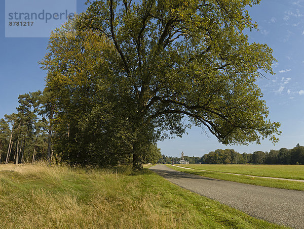 Nationalpark  Europa  Palast  Schloß  Schlösser  Baum  Lodge  Landhaus  Feld  Herbst  Wiese  Niederlande  Gelderland