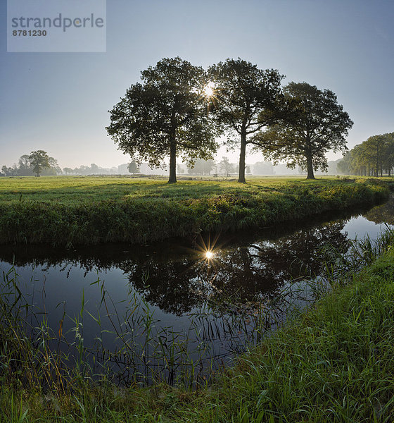Wasser  Europa  Sonnenstrahl  Baum  Landschaft  Natur  Ast  Herbst  Niederlande  Utrecht