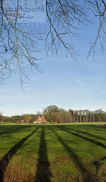 Bauernhaus  Europa  Winter  Baum  Bauernhof  Hof  Höfe  Feld  Wiese  Niederlande  Soest  Utrecht