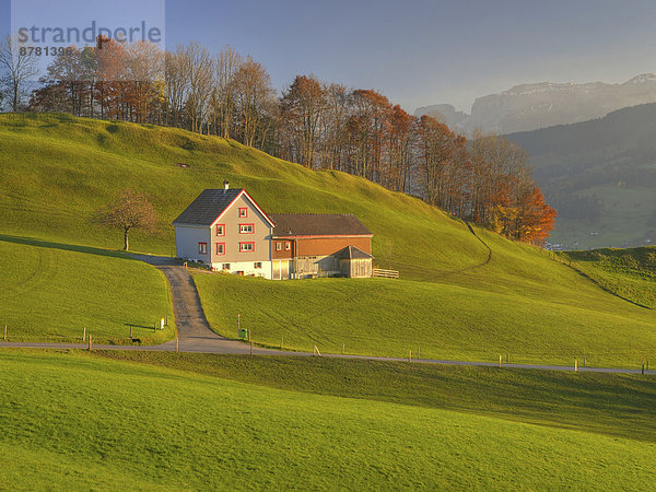 Landschaftlich schön  landschaftlich reizvoll  Europa  Berg  Landschaft  Hügel  grün  Landwirtschaft  Bauernhof  Hof  Höfe  Herbst  Wiese  Schweiz