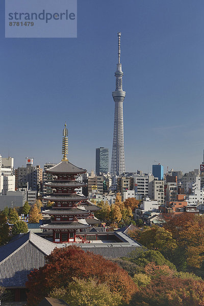 Farbaufnahme  Farbe  Skyline  Skylines  Kontrast  Gebäude  Reise  Großstadt  Tokyo  Hauptstadt  Architektur  Turm  bunt  Herbst  Tourismus  Tempel  Asakusa  Asien  Japan