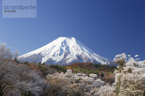 Farbaufnahme  Farbe  durchsichtig  transparent  transparente  transparentes  Symbol  Reise  bunt  Herbst  Berg  Tourismus  Fuji  Asien  Frost  Japan  Schnee