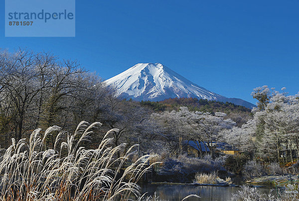 Farbaufnahme  Farbe  durchsichtig  transparent  transparente  transparentes  Symbol  Reise  bunt  Herbst  Berg  Tourismus  Fuji  Asien  Frost  Japan  Schnee