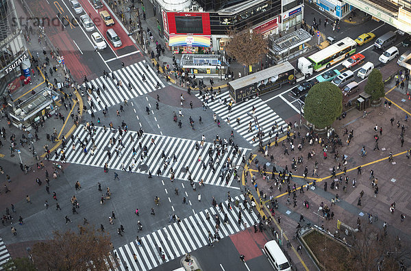 überqueren  Großstadt  Tokyo  Hauptstadt  Fußgänger  Shibuya  Asien  Menschenmenge  Japan  Haltestelle  Haltepunkt  Station  Straßenverkehr