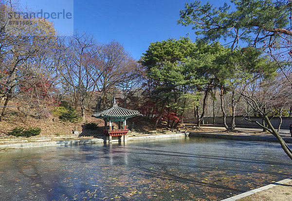 Seoul  Hauptstadt  Kälte  Reise  Großstadt  Architektur  Palast  Schloß  Schlösser  Garten  Herbst  Tourismus  Korea  UNESCO-Welterbe  Asien  Messehalle  Teich