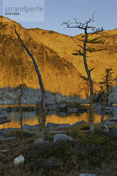 Vereinigte Staaten von Amerika  USA  Anschnitt  Silhouette  Steilküste  Sonnenaufgang  Berg  See  Landschaftlich schön  landschaftlich reizvoll  Magie  vorwärts  Lärche  Vollkommenheit