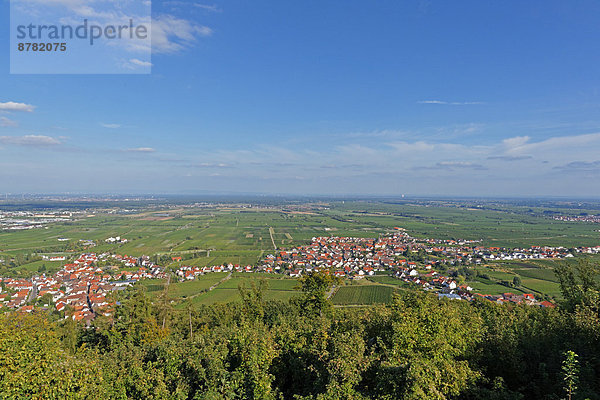 Panorama  Landschaftlich schön  landschaftlich reizvoll  Sehenswürdigkeit  Baustelle  Europa  Wolke  Palast  Schloß  Schlösser  Wein  Baum  Himmel  Gebäude  Tal  Stadt  Feld  Deutschland  Hambacher Schloss  Neustadt  Neustadt an der Weinstraße  Rheinland-Pfalz  Tourismus