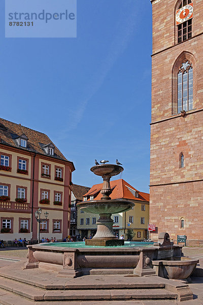 Sehenswürdigkeit  bauen  Wasser  Europa  Mensch  Menschen  Gebäude  Tier  Stadt  Architektur  Geschichte  Uhr  Kirche  Laterne - Beleuchtungskörper  Vogel  Ziehbrunnen  Brunnen  Deutschland  Marktplatz  Neustadt  Neustadt an der Weinstraße  Rheinland-Pfalz  Tourismus