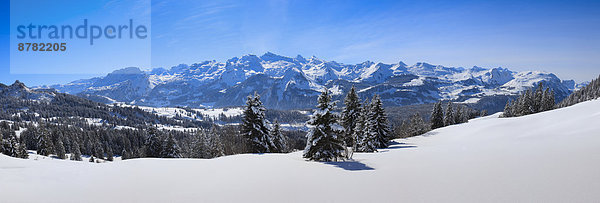 Kälte Panorama Europa Berg Winter Baum Himmel Wald Holz Berggipfel Gipfel Spitze Spitzen Alpen blau Ansicht Fichte Tanne Westalpen Schnee schweizerisch Schweiz Schweizer Alpen Zentralschweiz