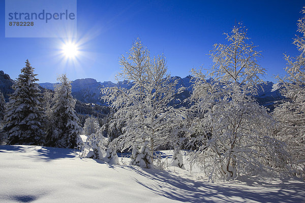 Kälte Panorama sternförmig Europa Schneedecke Berg Winter Baum Himmel Schnee Wald Holz Berggipfel Gipfel Spitze Spitzen Alpen blau Ansicht Sonnenstrahl Fichte Tanne Westalpen Sonne schweizerisch Schweiz Schweizer Alpen Zentralschweiz