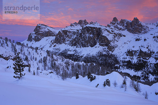 Felsbrocken  Panorama  glühend  Glut  Trentino Südtirol  Europa  Schneedecke  Berg  Winter  Berggipfel  Gipfel  Spitze  Spitzen  Morgen  Himmel  Steilküste  Sonnenaufgang  Schnee  Alpen  blau  rot  Ansicht  Dolomiten  Alpenglühen  Aurora  Italien  Bergmassiv  Stimmung