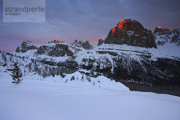 Felsbrocken  Panorama  glühend  Glut  Trentino Südtirol  Europa  Schneedecke  Berg  Winter  Berggipfel  Gipfel  Spitze  Spitzen  Morgen  Himmel  Steilküste  Sonnenaufgang  Schnee  Alpen  blau  rot  Ansicht  Dolomiten  Alpenglühen  Aurora  Italien  Bergmassiv  Stimmung