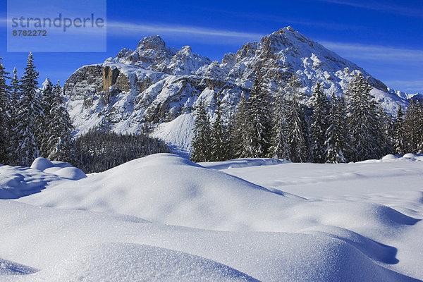 Kälte Naturschutzgebiet Felsbrocken Panorama Trentino Südtirol Schneedecke Berg Winter Berggipfel Gipfel Spitze Spitzen Baum Himmel Steilküste Schnee Wald Holz Alpen blau Ansicht Sonnenlicht Sehenswürdigkeit Dolomiten Tanne Zinne Italien Bergmassiv Bergpanorama
