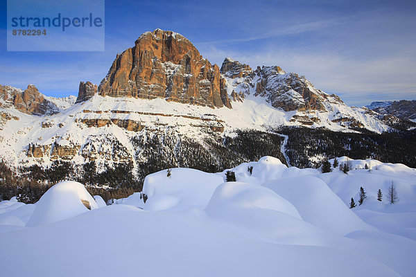 Felsbrocken  Panorama  Trentino Südtirol  Europa  Schneedecke  Berg  Winter  Berggipfel  Gipfel  Spitze  Spitzen  Himmel  Steilküste  Schnee  Alpen  blau  Ansicht  Sonnenlicht  Dolomiten  Italien  Bergmassiv