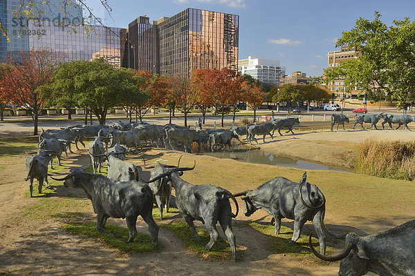 Vereinigte Staaten von Amerika  USA  Skulptur  Amerika  Kunst  Rind  Nordamerika  Cowboy  Dallas  Innenstadt  Texas