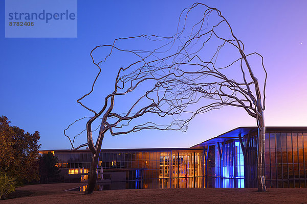 Vereinigte Staaten von Amerika  USA  beleuchtet  Skulptur  Amerika  Baum  Architektur  Kunst  Museum  Fort Worth  Metall  Texas