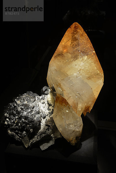 Vereinigte Staaten von Amerika  USA  Amerika  Museum  Schmuckstein  Houston  Mineral  Naturwissenschaft  Texas