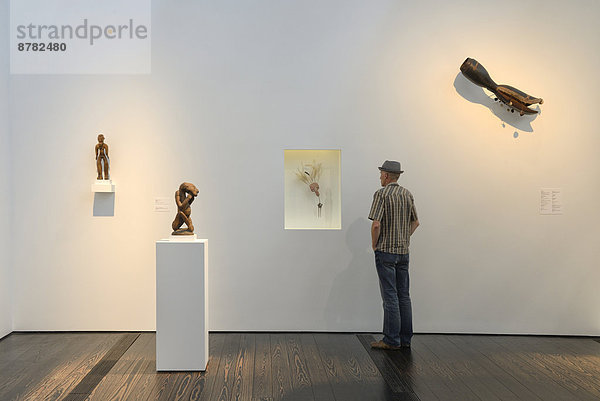 Vereinigte Staaten von Amerika  USA  Mann  Amerika  Innenaufnahme  Kunst  Museum  Galerie  Veranstaltung  Ausstellung  Houston  modern  Texas