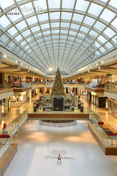 Vereinigte Staaten von Amerika  USA  Einkaufszentrum  Glaskuppel  Eisbahn  Amerika  Architektur  Innenaufnahme  Weihnachtsbaum  Tannenbaum  kaufen  Laden  Houston  Texas