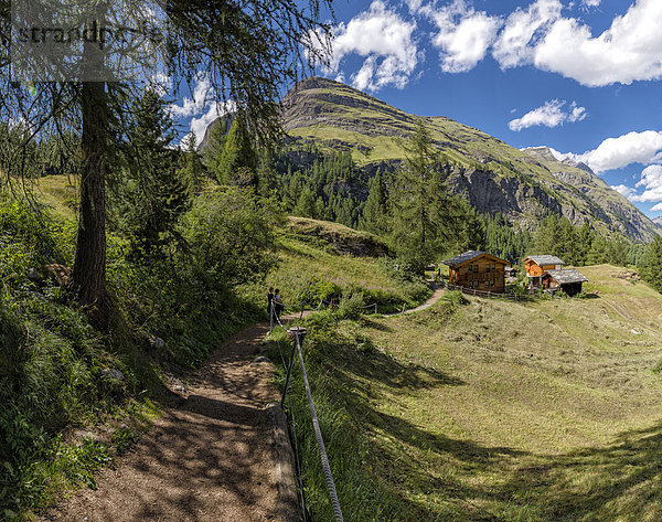 Europa  Berg  Mensch  Menschen  Sommer  Baum  Landschaft  Hügel  Feld  Chalet  Wiese  Bauernhof  Hof  Höfe  Weiler  Schweiz  Zermatt