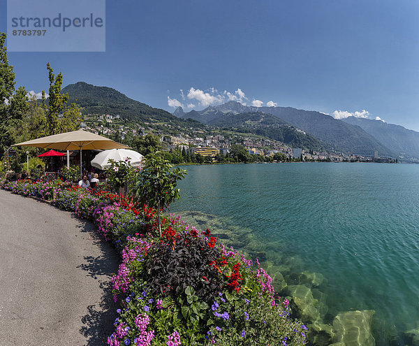 Wasser  Europa  Berg  Blume  Sommer  Stadt  See  Dorf  Genfer See  Genfersee  Lac Leman  Montreux  Schweiz