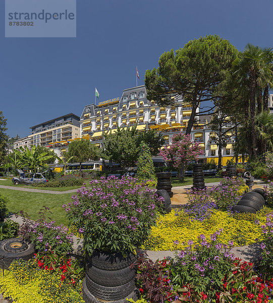 Europa  Blume  Sommer  Stadt  Hotel  Dorf  Garten  Montreux  Schweiz