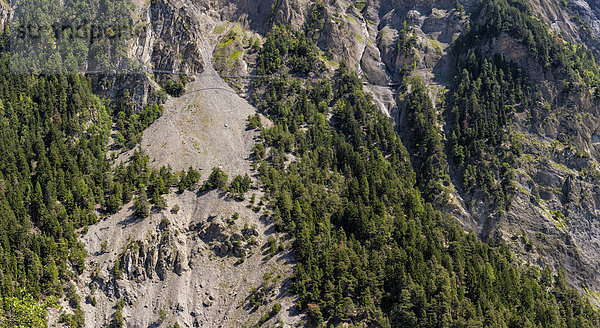 Europa Berg Sommer Abenteuer Baum Landschaft Hügel hängen Wald Brücke Holz Schweiz