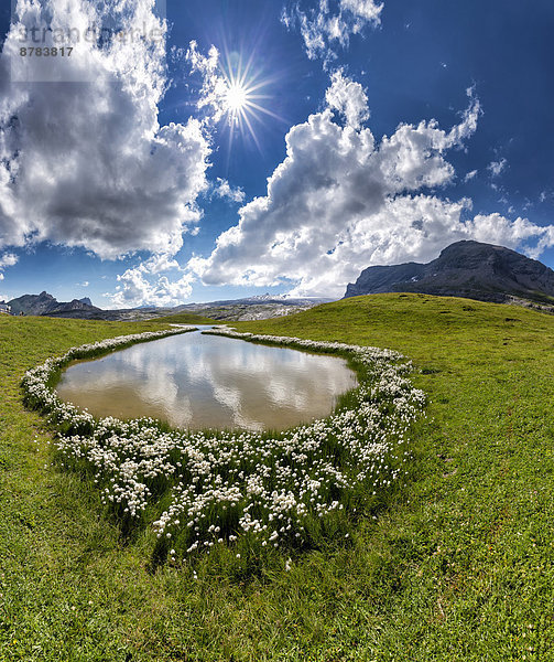 Wasser  Europa  Berg  Wolke  Blume  Sommer  Landschaft  Hügel  Teich  Schweiz