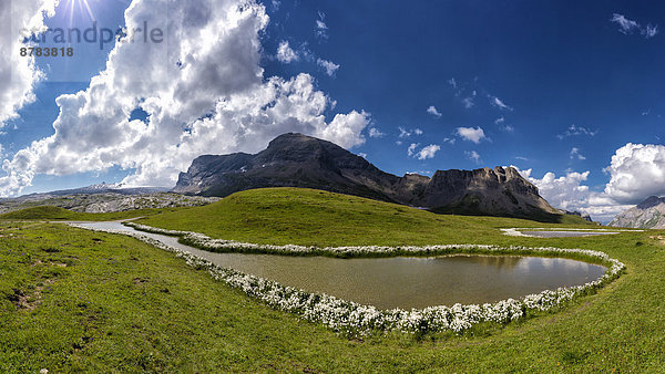 Wasser  Europa  Berg  Wolke  Blume  Sommer  Landschaft  Hügel  Teich  Schweiz