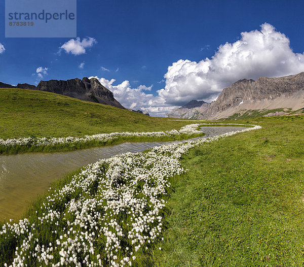 Wasser  Europa  Berg  Wolke  Blume  Sommer  Landschaft  Hügel  Teich  Schweiz