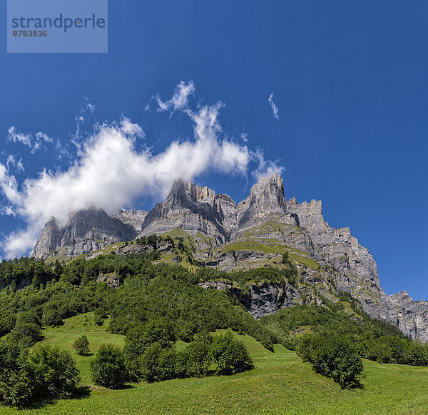 Europa  Berg  Sommer  Baum  Landschaft  Hügel  rauh  Feld  Wiese  steil  Schweiz