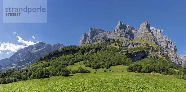 Europa  Berg  Sommer  Baum  Landschaft  Hügel  rauh  Feld  Wiese  steil  Schweiz