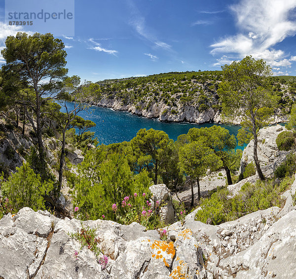 Wasser Frankreich Europa Berg Baum Landschaft Meer Calanque Cassis