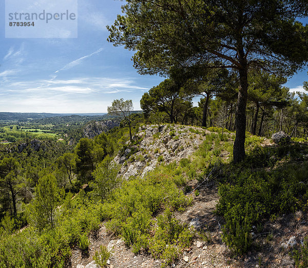 Frankreich Europa Berg Sommer Baum Landschaft Hügel Wald Natur Holz reservieren