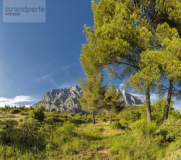 Frankreich Europa Berg Baum Landschaft Hügel Wald Natur Holz reservieren