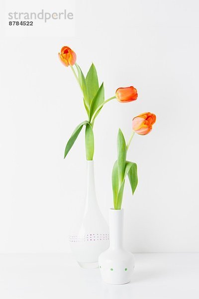 Stilleben von zwei Vasen und orangefarbenen Tulpen