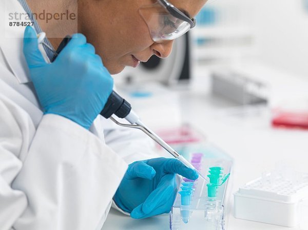 Wissenschaftlerin pipettiert DNA-Proben für den Test