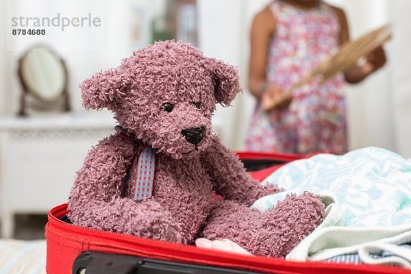 Teddybär im offenen Koffer