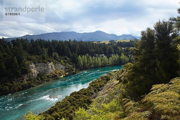 Blick auf Fluss  Wald und Berge  Neuseeland