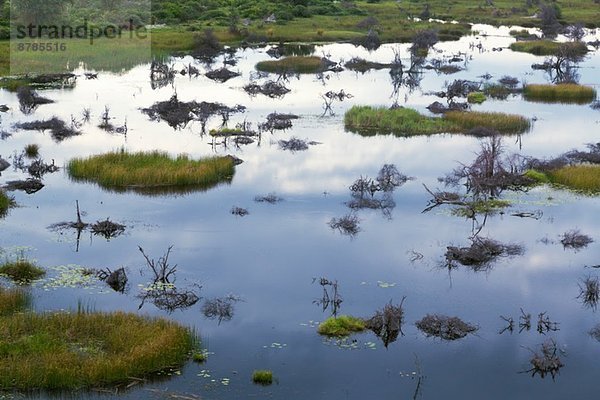 Okavango-Delta  Chobe-Nationalpark  Botswana  Afrika