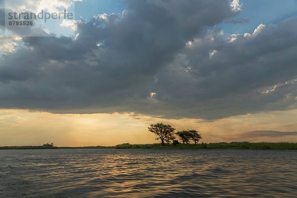 Wasser- und Silhouettenbäume  Kasane  Chobe Nationalpark  Botswana  Afrika