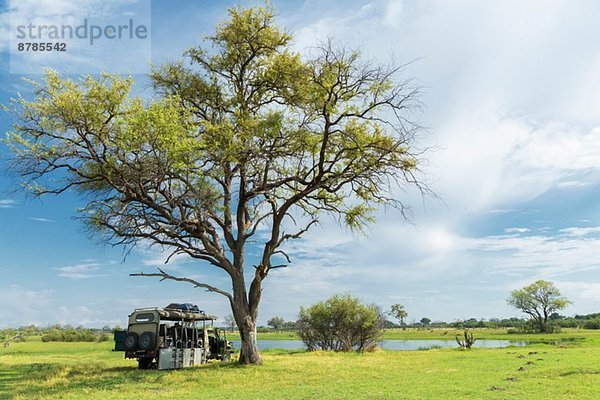 Stationärer Safari-Truck  Okavango Delta  Chobe Nationalpark  Botswana  Afrika