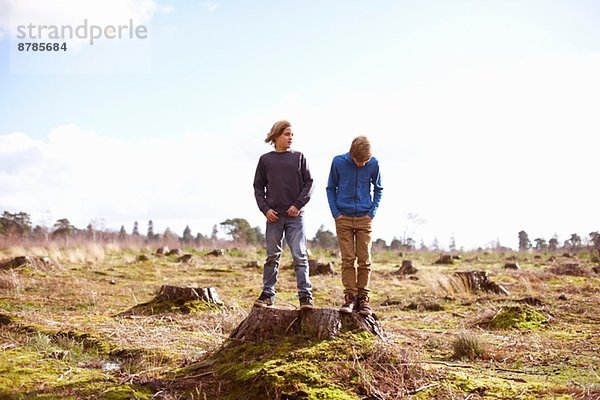 Zwillingsbrüder stehen auf Baumstumpf in der Waldlichtung