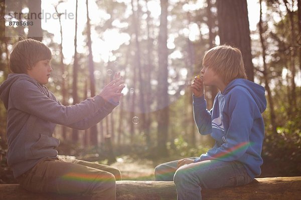 Zwillingsbrüder fotografieren mit dem Smartphone im Wald