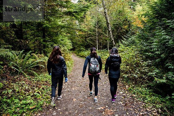 Drei junge Wandererinnen durch den Wald  Squamish  British Columbia  Kanada