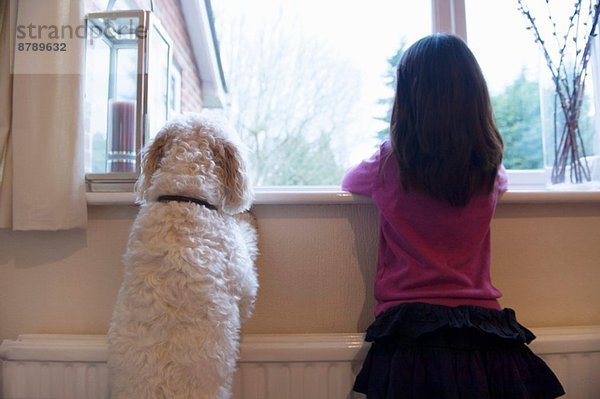 Mädchen und ihr Haushund stehen und schauen aus dem Fenster