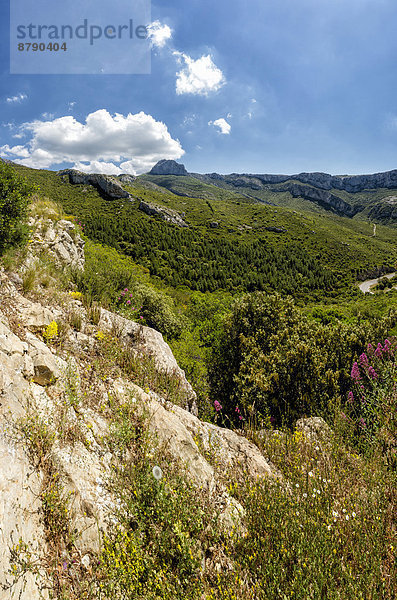 Felsbrocken  Frankreich  Europa  Berg  Sommer  Landschaft  Hügel