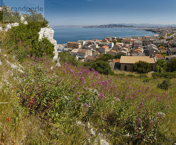 Frankreich  Europa  Berg  Blume  Sommer  Stadt  Meer  Dorf  Feld  Wiese  Ansicht  Marseille