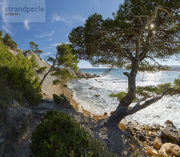 Wasser Frankreich Europa Berg Sommer Baum Landschaft Meer Cassis Mittelmeer