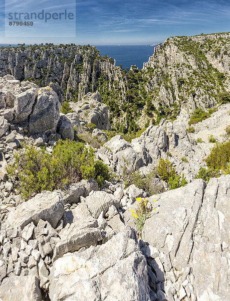 Frankreich  Europa  Berg  Sommer  Landschaft  Meer  Calanque  Cassis